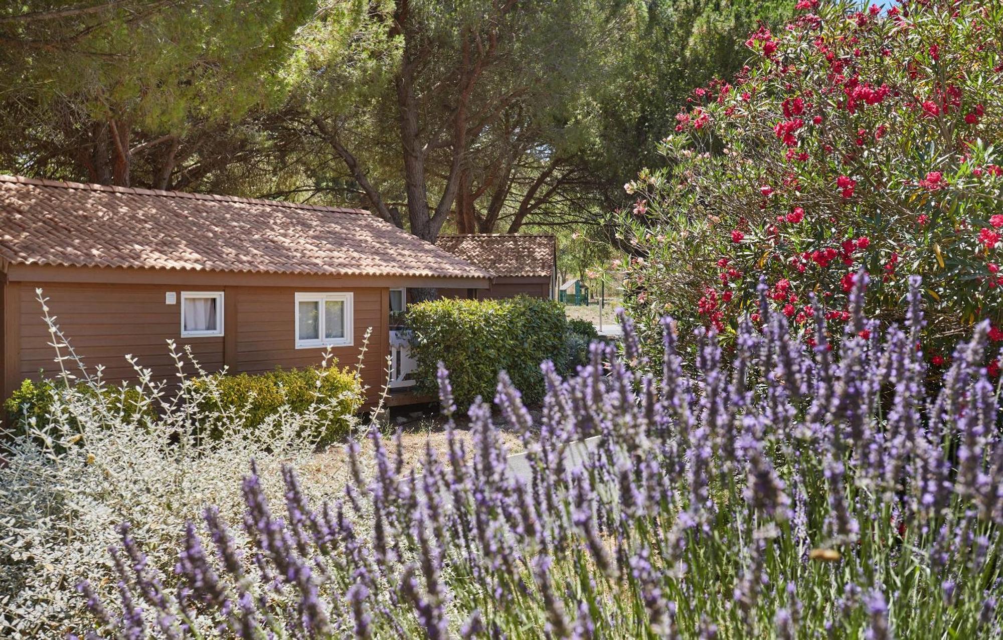 Carnoux-en-Provence Residence Odalys Shangri-La מראה חיצוני תמונה
